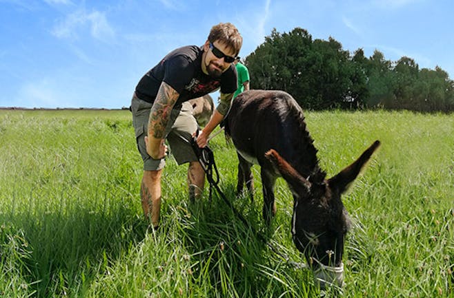 Esel-Trekking-Tagestour im Waldviertel