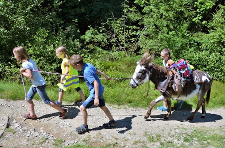 Geführte Eselwanderung für Familien im Sauerland