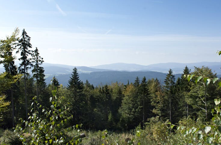 Familienurlaub Bayerischer Wald für 4