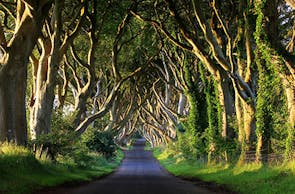Game of Thrones Reise Nordirland (4 Tage)