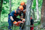 Holzfäller-Kurs mit Kettensägenschein