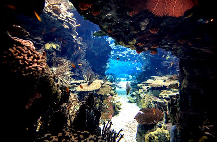 Städtetrip Lissabon mit Aquarium Oceanário für 2 (4 Tage)