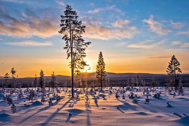 Kurzurlaub Lappland mit Eisbrecher-Fahrt für 2 (3 Nächte)