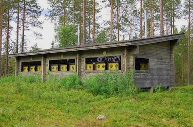 Kurzurlaub mit Elch- und Bären-Safari in Finnland für 2