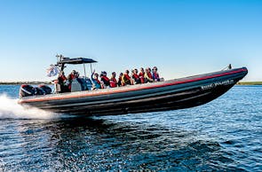 1050 PS Power-Schlauchboot fahren Raum Insel Fehmarn