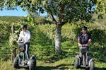 Segway Tour durch die Weingärten von Jois