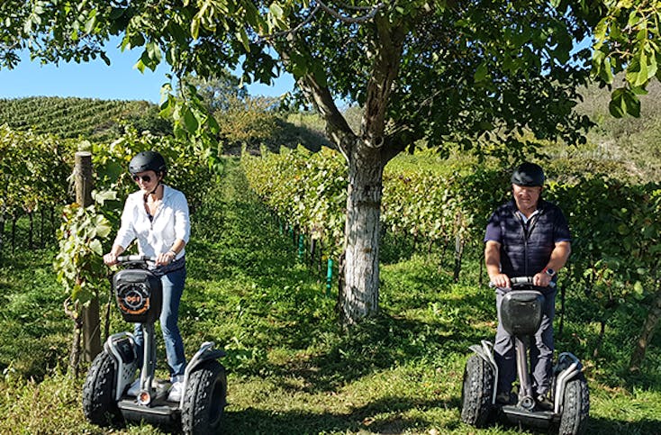 Segway Tour durch die Weingärten von Jois
