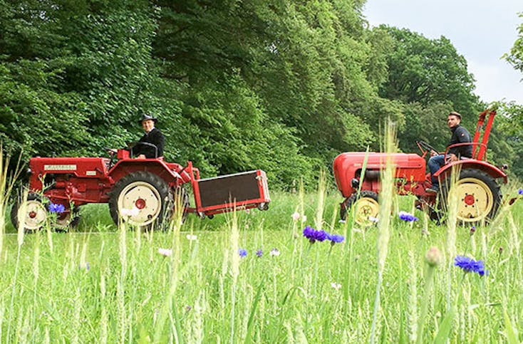 Oldtimer-Traktor fahren Raum Heidelberg