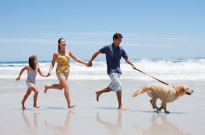 Familien-Urlaub im Bungalow mit Hund (5 Tage)