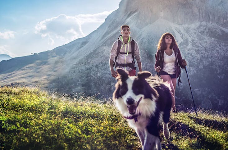 Kurzurlaub mit Hund in Südtirol für 2