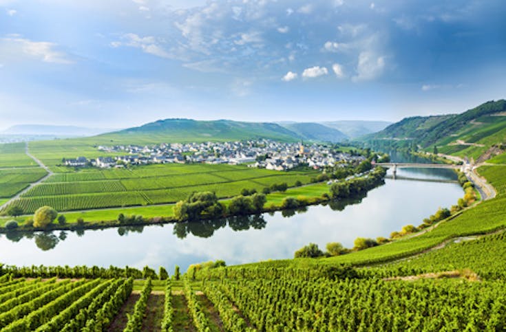 Weinausflug mit Planwagenfahrt und Verkostung in Rheinhessen