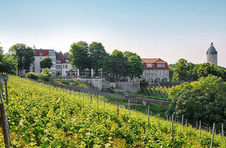 Weinverkostung mit Übernachtung in Freyburg für 2