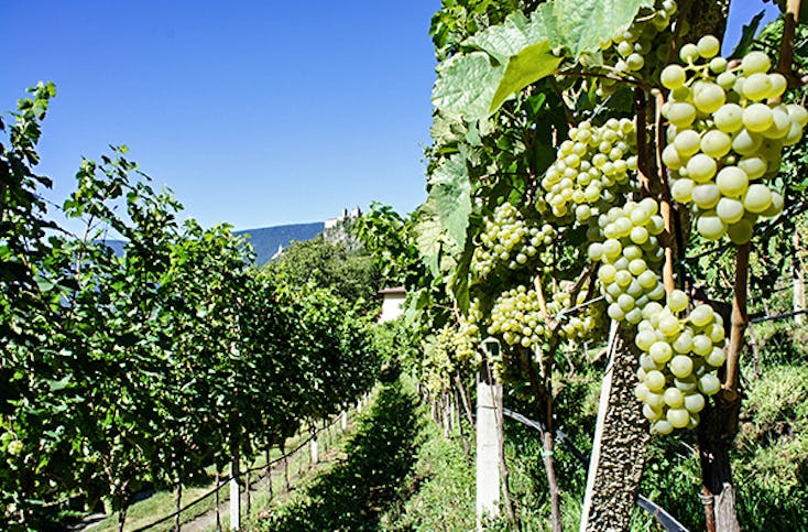 Weinkenner-Kurzurlaub in Südtirol für 2