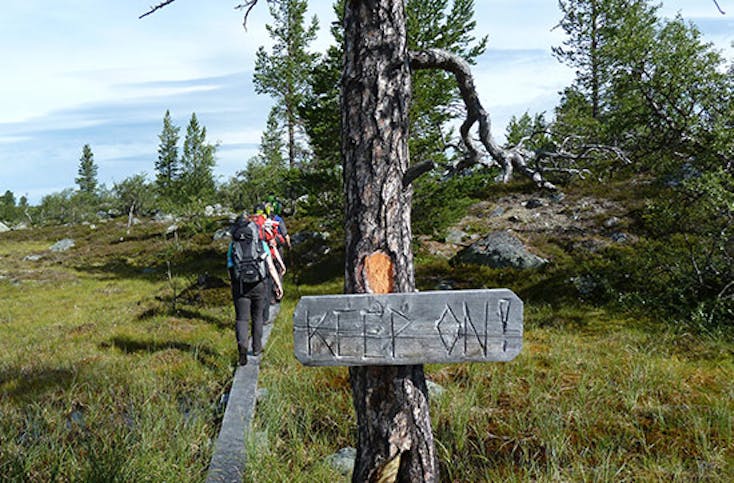 Wildnis-Urlaub in Schweden inkl. Anreise (10 Tage)