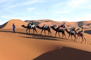 Wüsten-Expedition in der Sahara