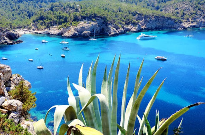 Luxusyacht-Tage auf Ibiza mit 2 Nächten an Bord für 6