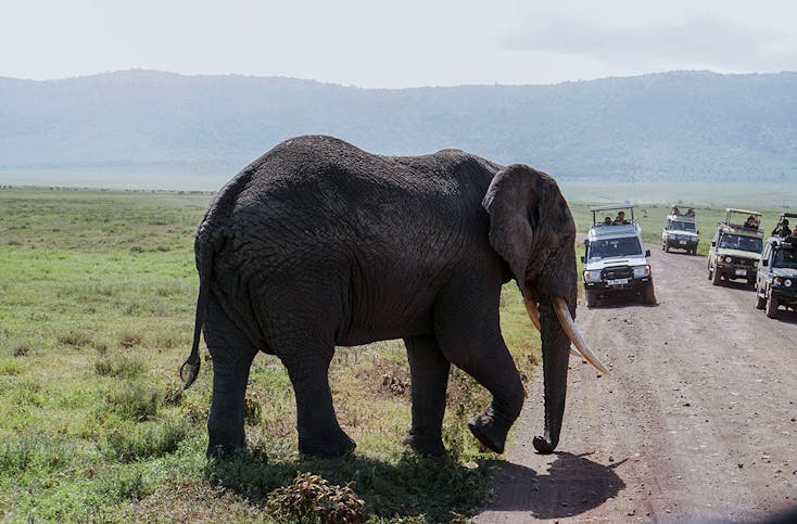 Abenteuerreise Kenia für 2 (13 Nächte)