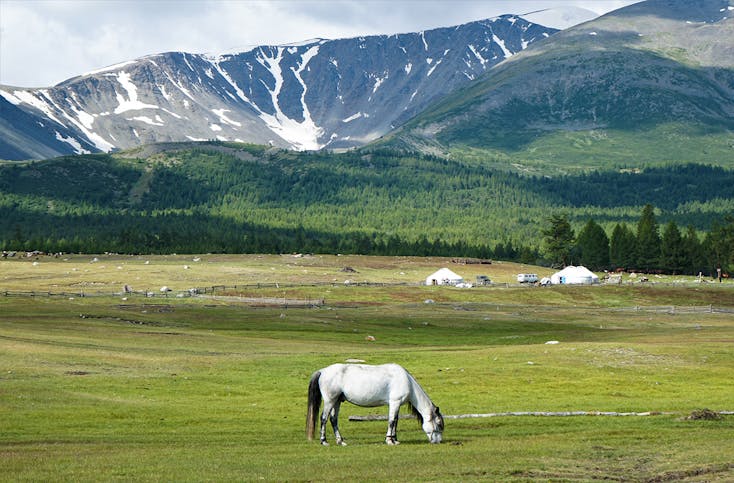 Abenteuerreise Mongolei für 2 (14 Nächte)
