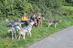 Husky Abenteuer-Wochenende im Schwarzwald
