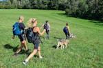 Husky Abenteuer-Wochenende im Schwarzwald
