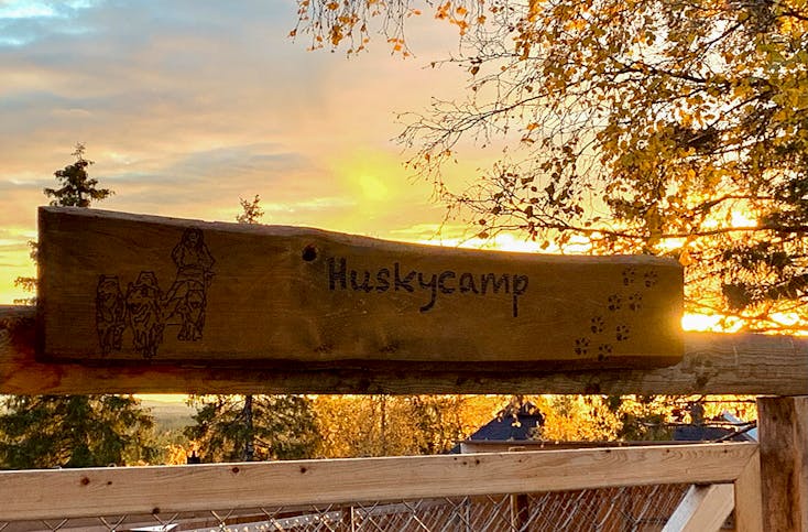 Huskycamp Schweden Herbst für 2 (7 Nächte)