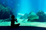 Städtetrip Lissabon mit Aquarium Oceanário für 2 (3 Nächte)