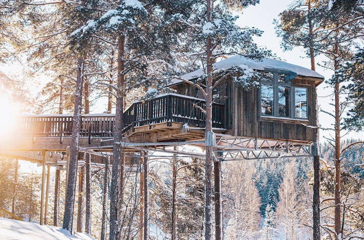Lappland Kurzurlaub im Baumhaus für 2 (3 Nächte)